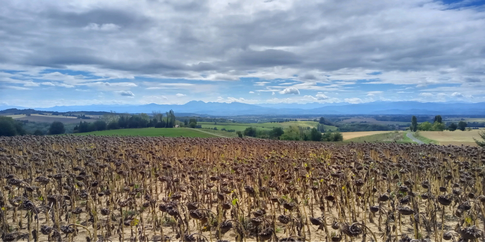 丘陵のあちこちで