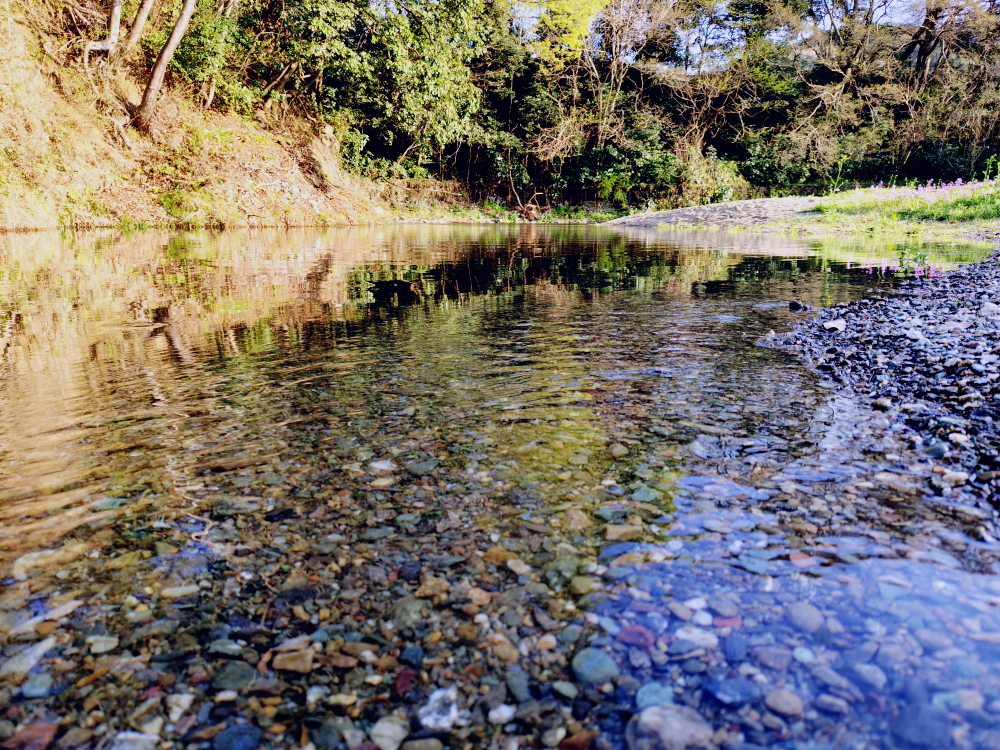 都幾川の澄んだ水